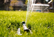 Turf tip: how often should you water your lawn? â� 