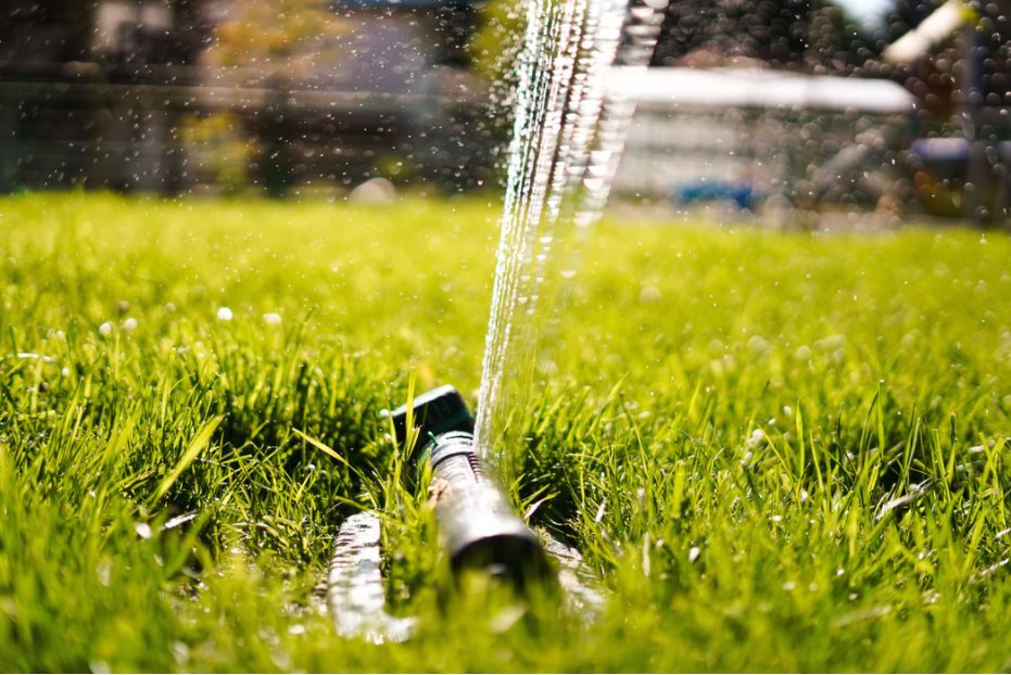 Turf tip: how often should you water your lawn? ⁠